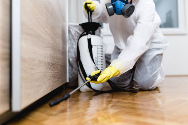 Best Bed Bug Extermination  in Silverton, OH