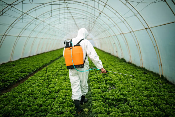 Best Pest Inspection Near Me  in Silverton, OH
