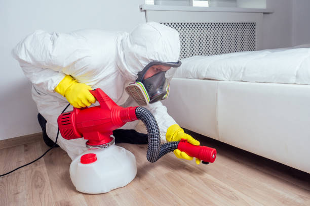 Best Bed Bug Extermination  in Silverton, OH