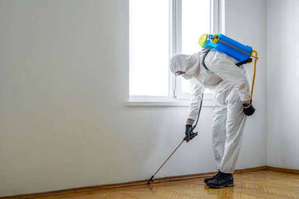Best Local Pest Control Services  in Silverton, OH