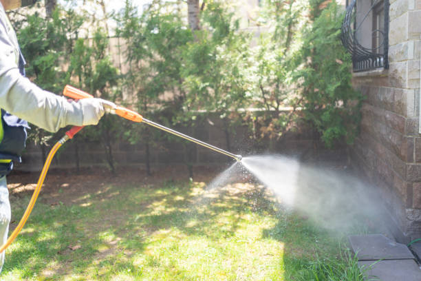 Wildlife Control Services in Silverton, OH