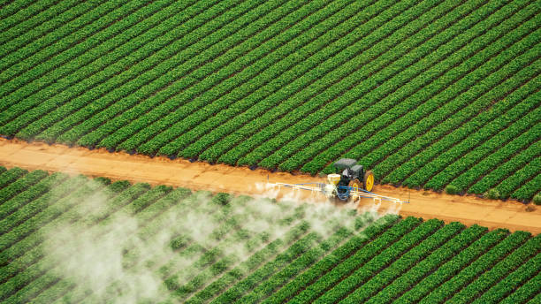 Best Best Pest Control Companies  in Silverton, OH
