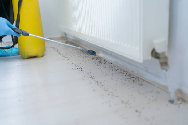 Pest Prevention Services in Silverton, OH