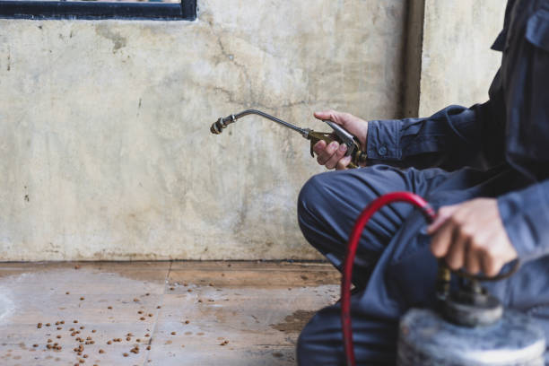 Best Termite Control Services  in Silverton, OH