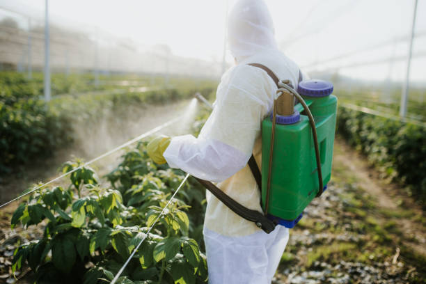 Best Affordable Pest Control Services  in Silverton, OH